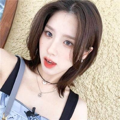 小熊历险记